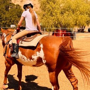 Riding pants. Girls 7/8 run like a six worn 3x’s